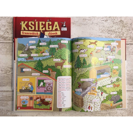 Kapitan Nauka. Księga francuskich słówek (7+)