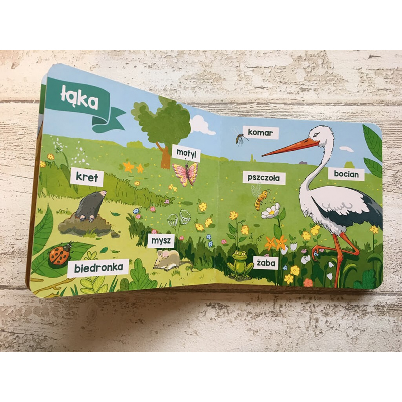 Kapitan Nauka. 100 pierwszych słówek. Zwierzęta 1+  (książka obrazkowa)