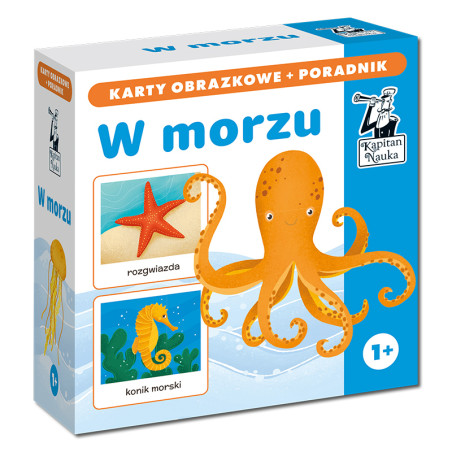 W morzu. Karty obrazkowe