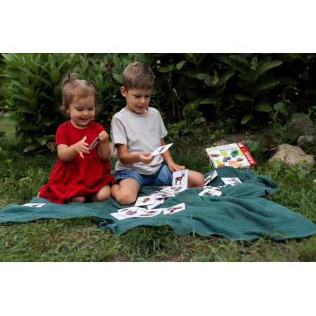 Montessori. Karty sensoryczne. Zwierzęta