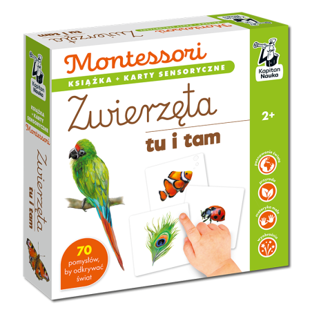 Montessori. Zwierzęta tu i tam. Karty sensoryczne z książeczką