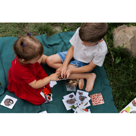 Montessori. Zwierzęta tu i tam. Karty sensoryczne z książeczką