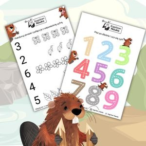 Matematyczne łamigłówki z Bobrami