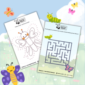 Dzień Motyla. Karty pracy